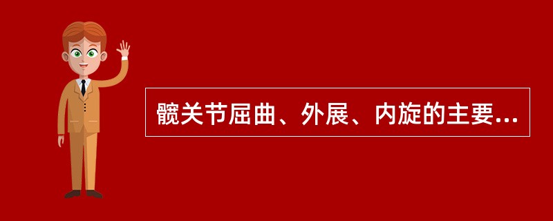 髋关节屈曲、外展、内旋的主要肌肉包括（）。