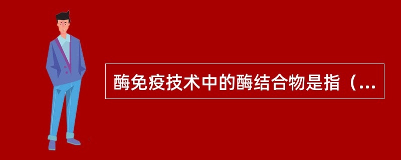 酶免疫技术中的酶结合物是指（）。