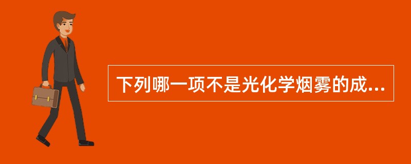 下列哪一项不是光化学烟雾的成分（）