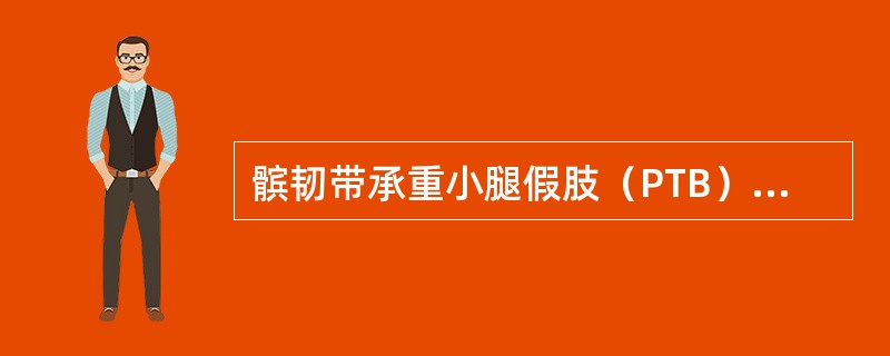 髌韧带承重小腿假肢（PTB）主要悬吊部位在（）