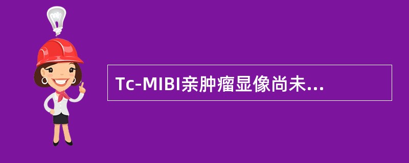 Tc-MIBI亲肿瘤显像尚未应用的肿瘤是（）。