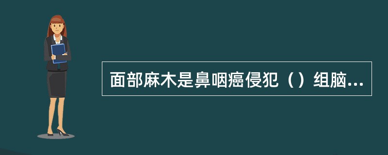 面部麻木是鼻咽癌侵犯（）组脑神经的表现。