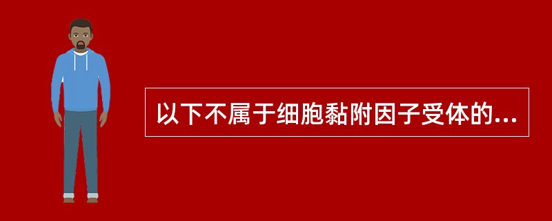 以下不属于细胞黏附因子受体的是（）。