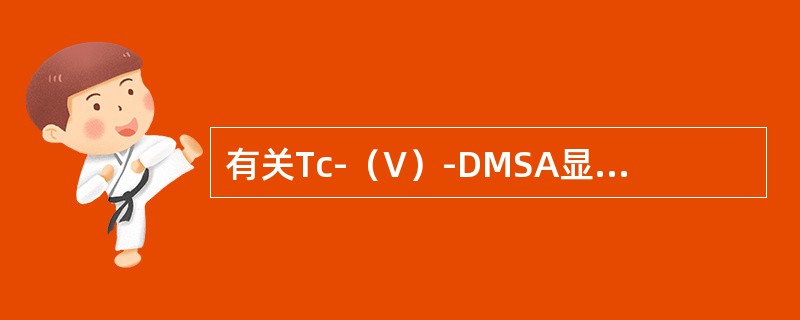 有关Tc-（V）-DMSA显像的叙述，不正确的是（）。