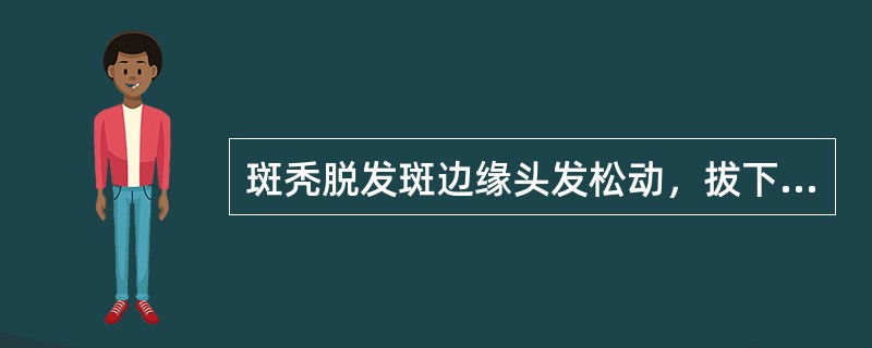 斑秃脱发斑边缘头发松动，拔下的头发在放大镜下观察，可见毛发下段如（）