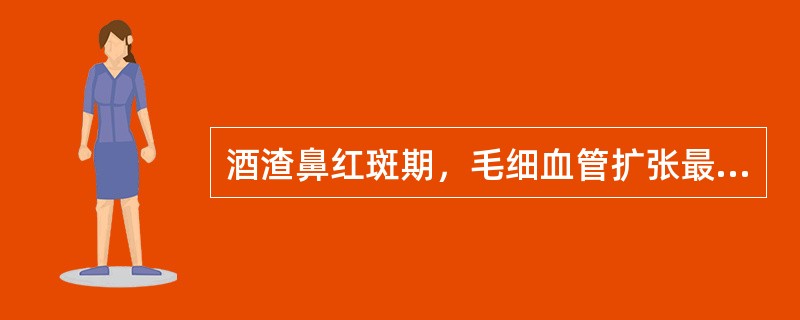 酒渣鼻红斑期，毛细血管扩张最明显的部位是（）