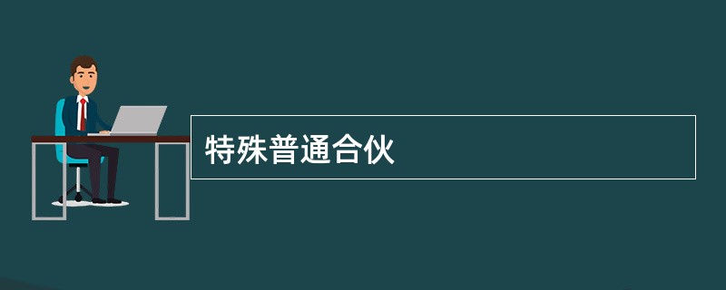 特殊普通合伙