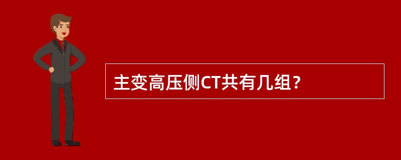 主变高压侧CT共有几组？