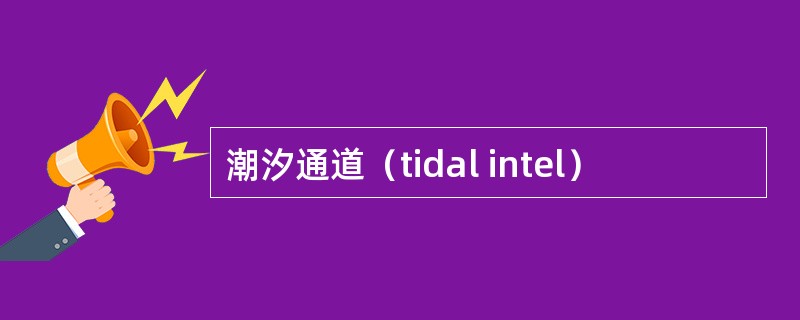 潮汐通道（tidal intel）