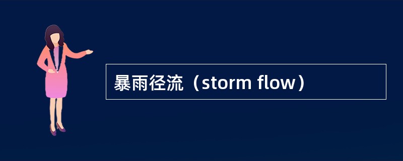 暴雨径流（storm flow）