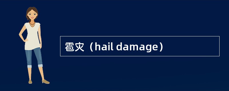 雹灾（hail damage）
