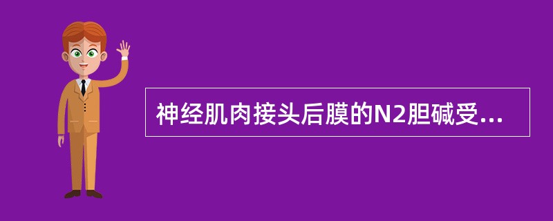 神经肌肉接头后膜的N2胆碱受体被阻断多少时，肌颤搐才完全抑制（）