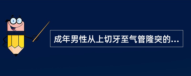 成年男性从上切牙至气管隆突的距离均为（）