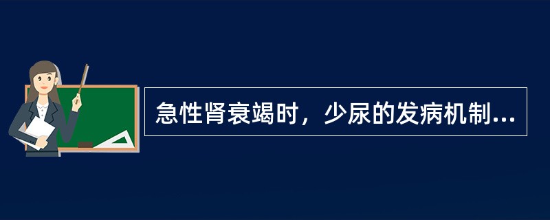 急性肾衰竭时，少尿的发病机制是（）