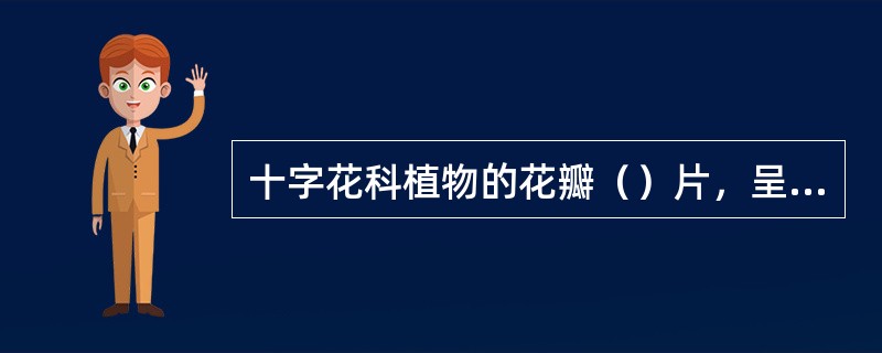 十字花科植物的花瓣（）片，呈（）形排列，（）雄蕊，子房（）位，（）果。