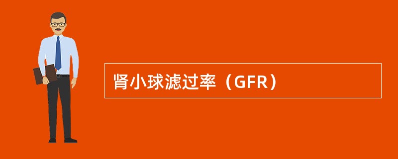 肾小球滤过率（GFR）