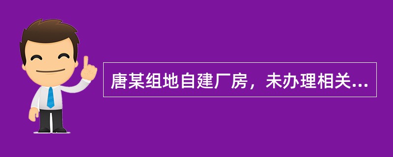 唐某组地自建厂房，未办理相关建设手续。厂房采用简易钢结构，整个厂区无任何消防设施