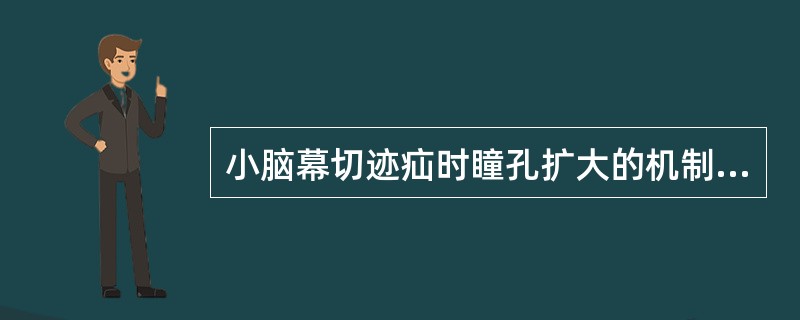 小脑幕切迹疝时瞳孔扩大的机制是（）