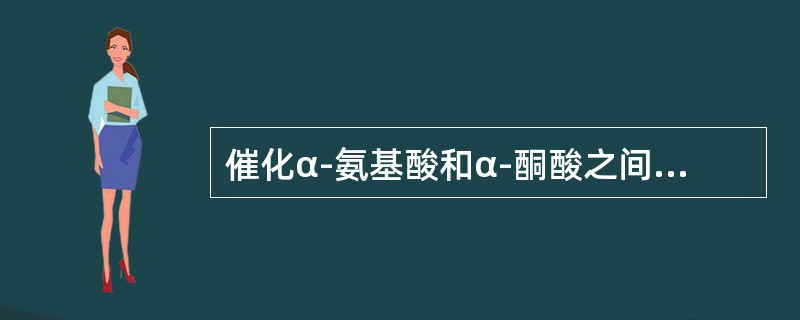 催化α-氨基酸和α-酮酸之间氨基转移的酶称为