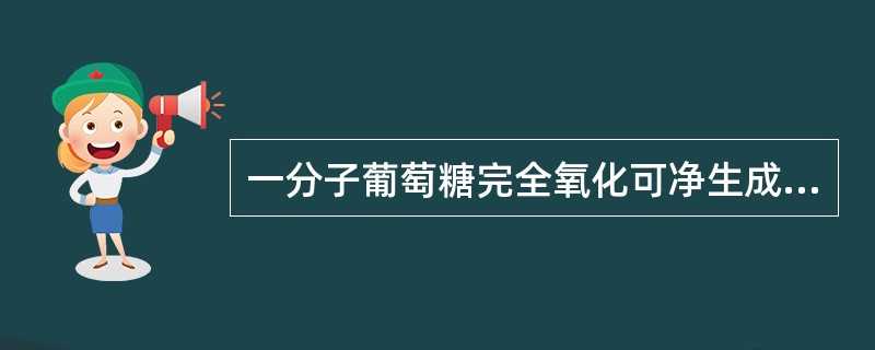 一分子葡萄糖完全氧化可净生成三磷酸腺苷（ATP）数为