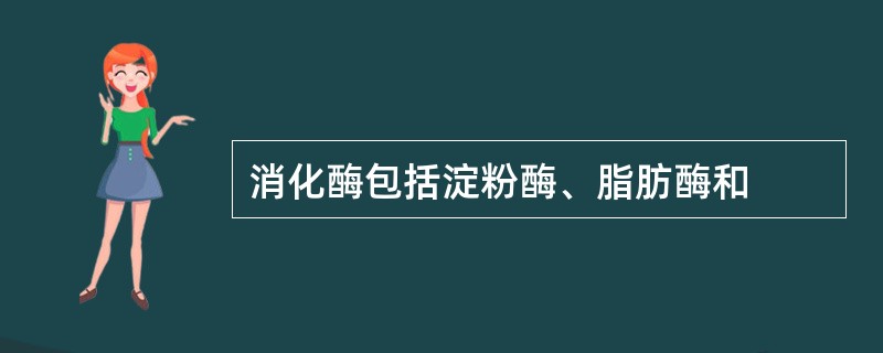 消化酶包括淀粉酶、脂肪酶和