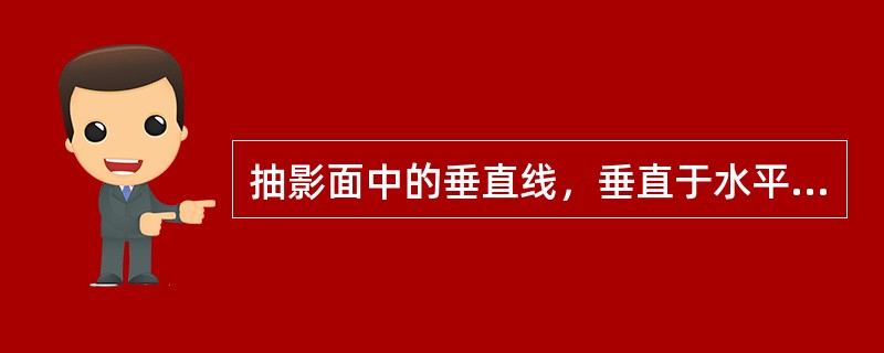 抽影面中的垂直线，垂直于水平面的直线称（）。