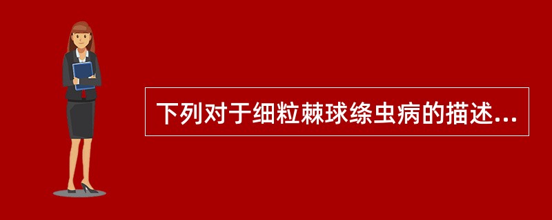 下列对于细粒棘球绦虫病的描述中属于错误的是