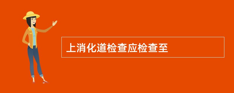 上消化道检查应检查至