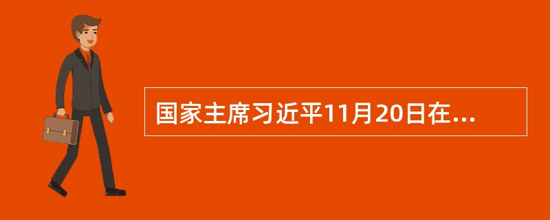 国家主席习近平11月20日在惠灵顿同新西兰总理约翰·基举行会谈，双方决定，将中新