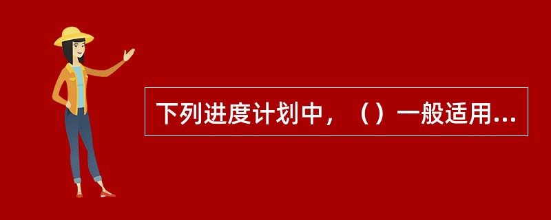下列进度计划中，（）一般适用于工期较长、较为复杂的大型建设项目。