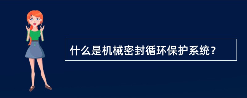 什么是机械密封循环保护系统？