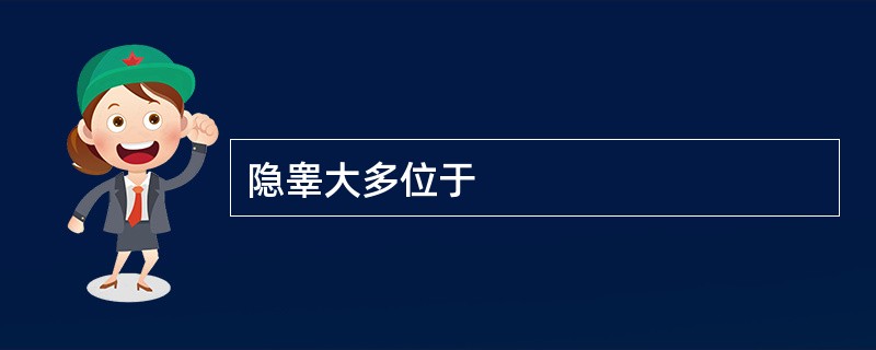 隐睾大多位于
