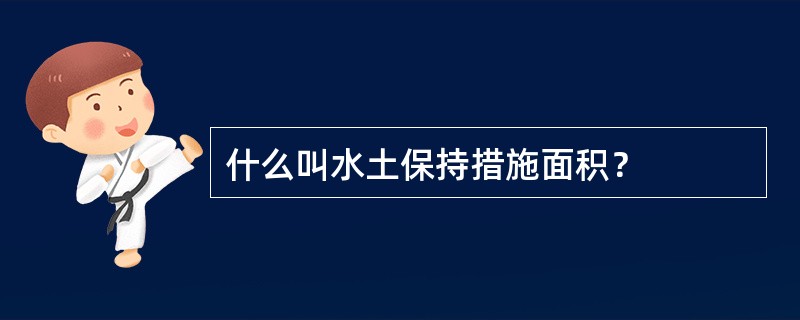 什么叫水土保持措施面积？