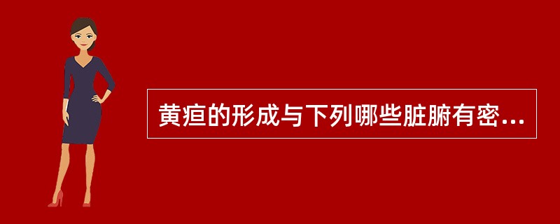 黄疸的形成与下列哪些脏腑有密切关系（）。