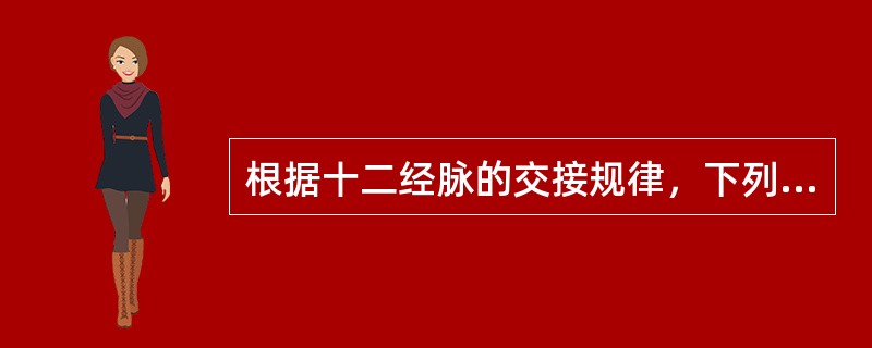 根据十二经脉的交接规律，下列哪项叙述是错误的：（）。