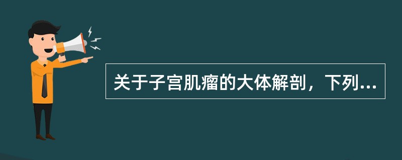 关于子宫肌瘤的大体解剖，下列哪项正确()