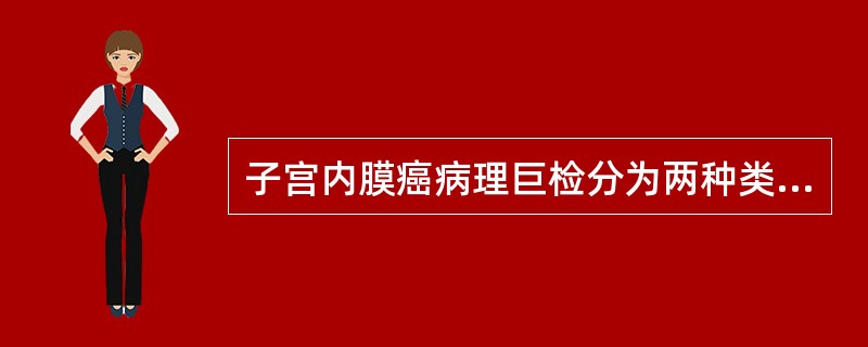 子宫内膜癌病理巨检分为两种类型()