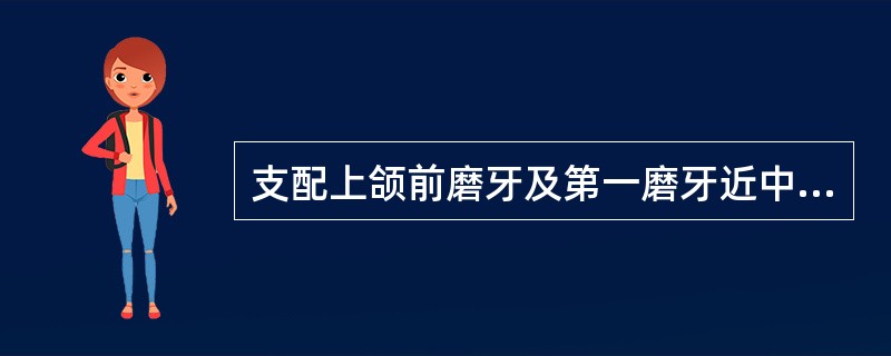 支配上颌前磨牙及第一磨牙近中的牙髓及其颊侧黏骨膜的为