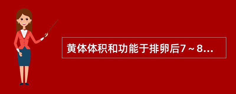 黄体体积和功能于排卵后7～8日(相当于月经周期21～22日)达最高峰，直径1～2