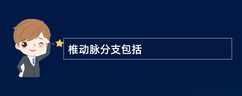 椎动脉分支包括