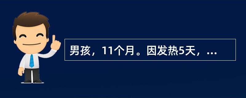 男孩，11个月。因发热5天，咳嗽2天，稀便1天，右下肢不会活动半天入院。体检：体