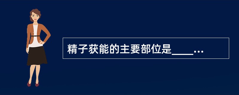 精子获能的主要部位是______和______，卵子受精部位是_________