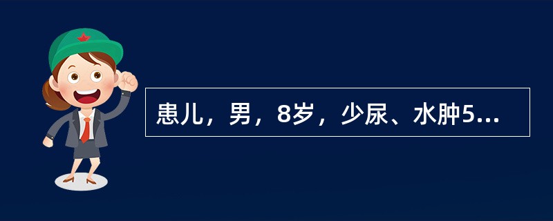 患儿，男，8岁，少尿、水肿5天，病前2周有发热、咽痛史。尿蛋白（++），红细胞1