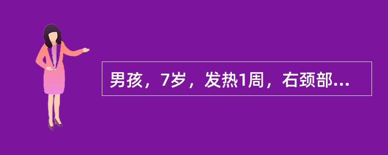 男孩，7岁，发热1周，右颈部肿块。体检：精神可，右颈部可触及1cm×1.5cm淋