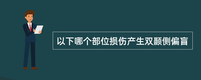 以下哪个部位损伤产生双颞侧偏盲