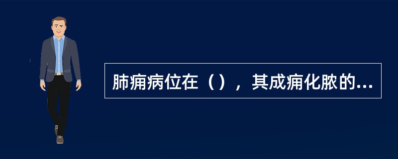 肺痈病位在（），其成痈化脓的病理基础，主要在于（）