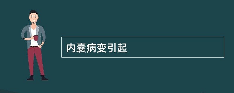 内囊病变引起