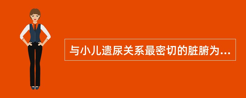 与小儿遗尿关系最密切的脏腑为（）