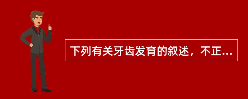 下列有关牙齿发育的叙述，不正确是()