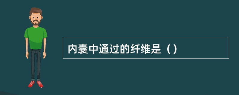 内囊中通过的纤维是（）